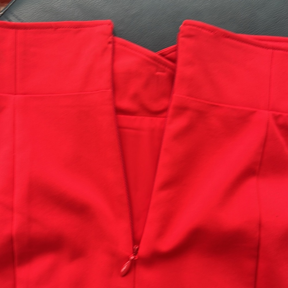 NWT Gorgeous Skirt! - Picture 7 of 10